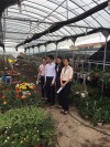 Vùng trồng hoa tại xã Vũ Chính