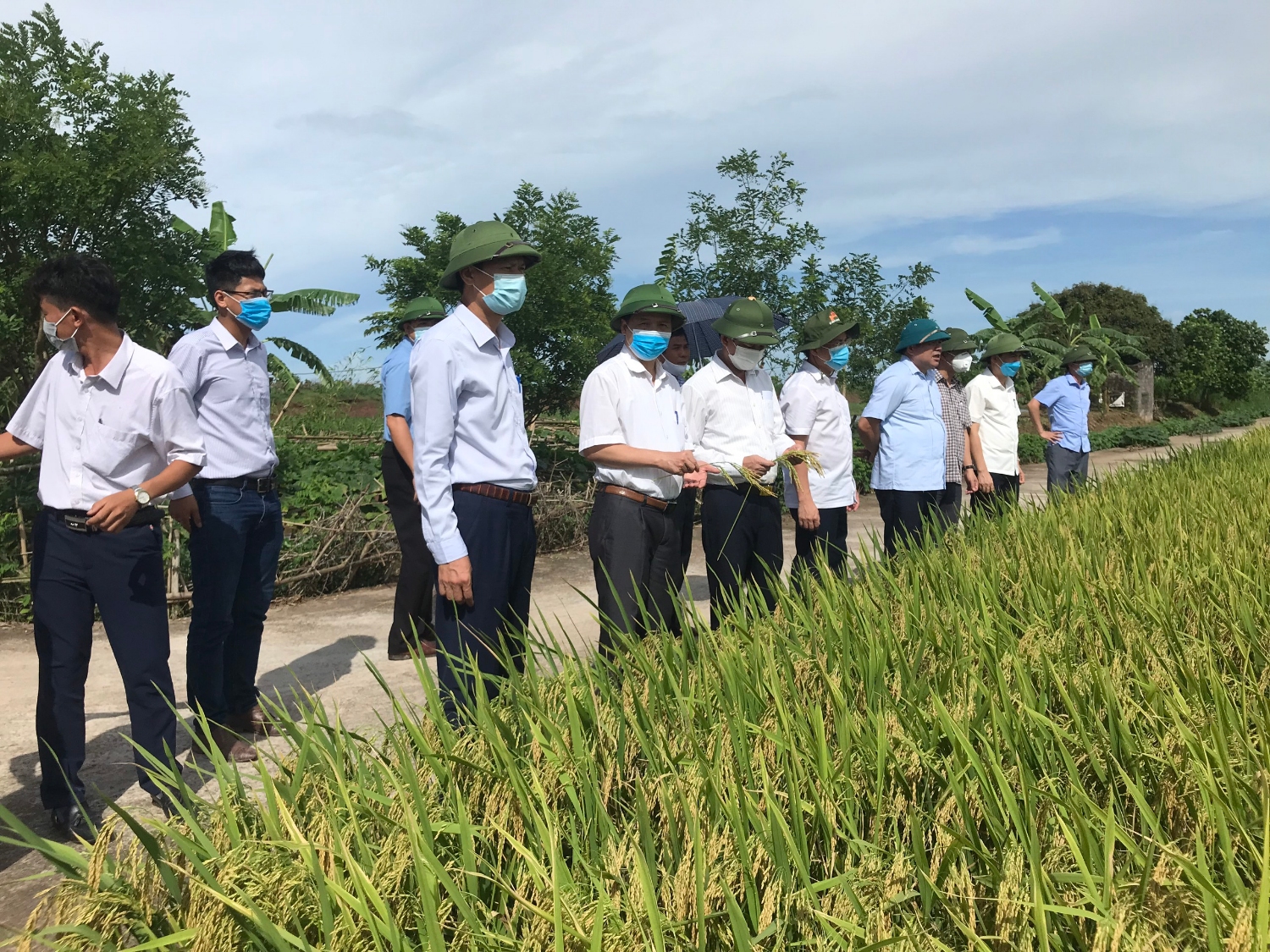 Huyện Kiến Xương tập trung thu hoạch lúa Xuân năm 2021