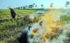 Huyện Quỳnh Phụ tăng cường tuyên truyền nông dân không đốt rơm, rạ sau thu hoạch lúa xuân