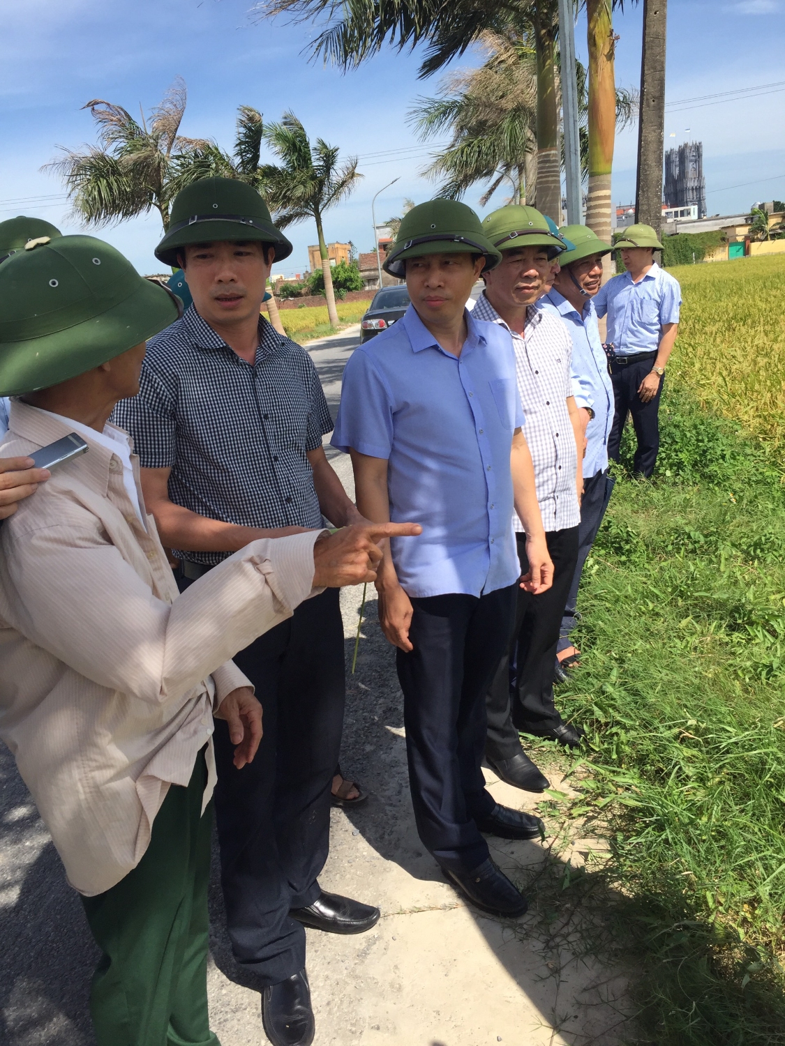 Cục Thống kê cùng Sở Nông nghiệp thăm đồng đánh giá năng suất lúa Xuân 2020 tại huyện Tiền Hải