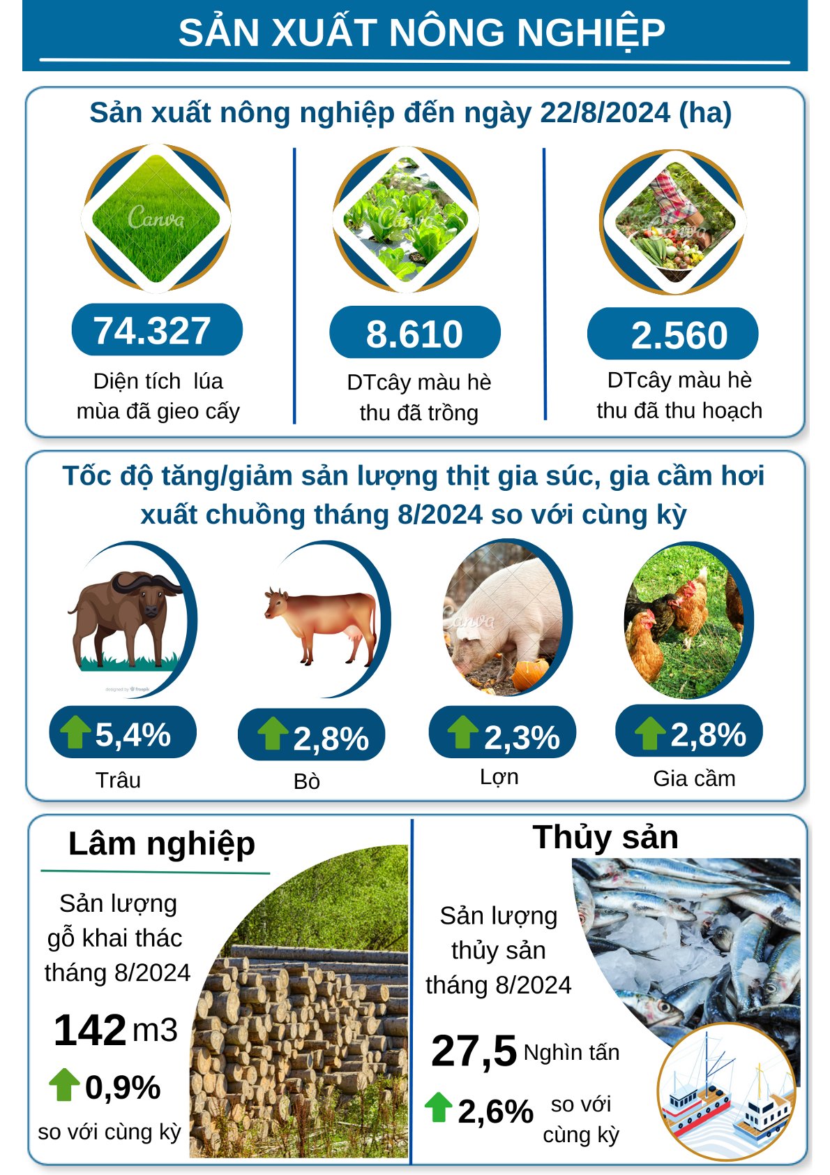 INFORGRAPHIC KINH TẾ XÃ HỘI TỈNH THÁI BÌNH THÁNG 8 NĂM 2024